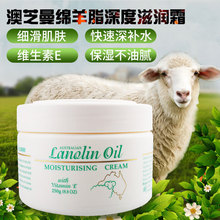 Momenta交出上市首份财报：营收毛利双双创新高 同比大涨76%